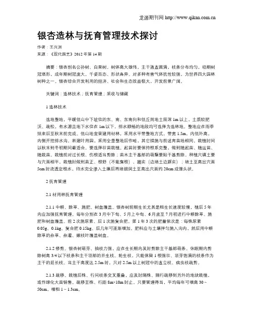银杏造林与抚育管理技术探讨