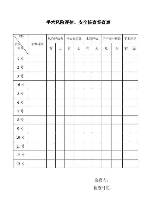 风险评估安全核查表