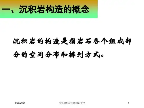 沉积岩构造专题知识讲座培训课件