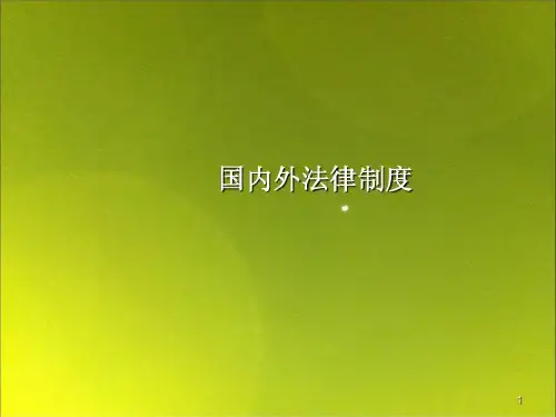 国内外相关法律制度34页PPT