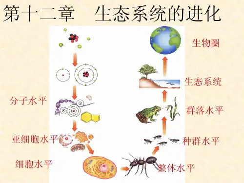 生态系统的进化-进化生物学-课件-12