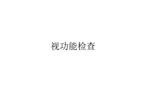 视功能检查