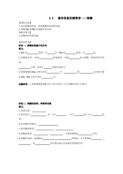 人教版必修一2.3遗传信息的携带者——核酸学案