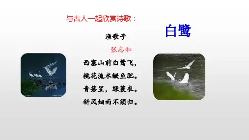 1《白鹭》课件