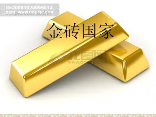 金砖国家