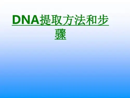 DNA提取方法和步骤课件