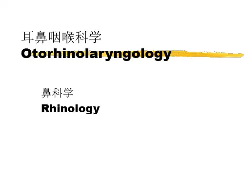 耳鼻喉教学PPT课件