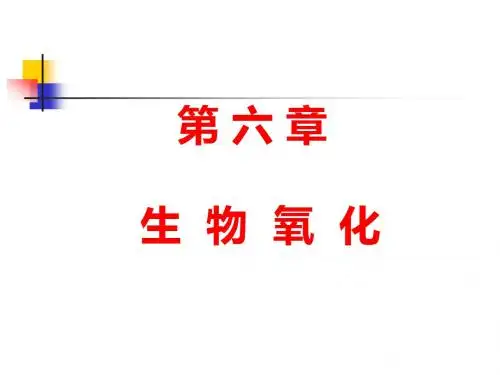 第六章 生物氧化