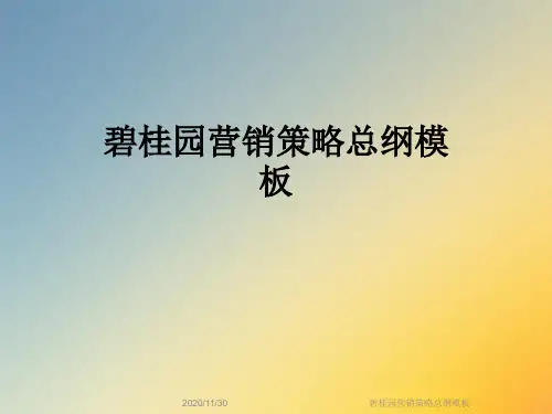 碧桂园营销策略总纲模板