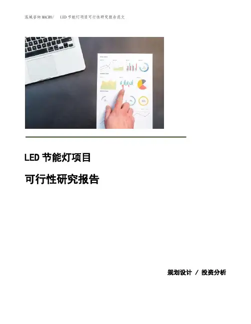 LED节能灯项目可行性研究报告范文
