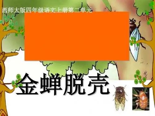 《金蝉脱壳》PPT课件3 (共15张PPT)