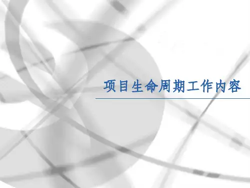 项目实施工作内容