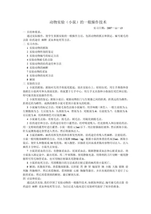 动物实验报告