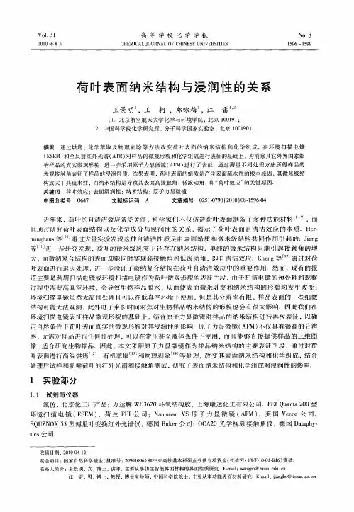 荷叶表面纳米结构与浸润性的关系