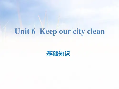 《Keep our city clean》基础知识PPT