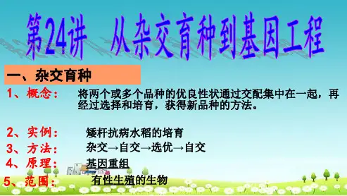 高三生物一轮复习第24讲从杂交育种到基因工程育种课件新人教版必修1