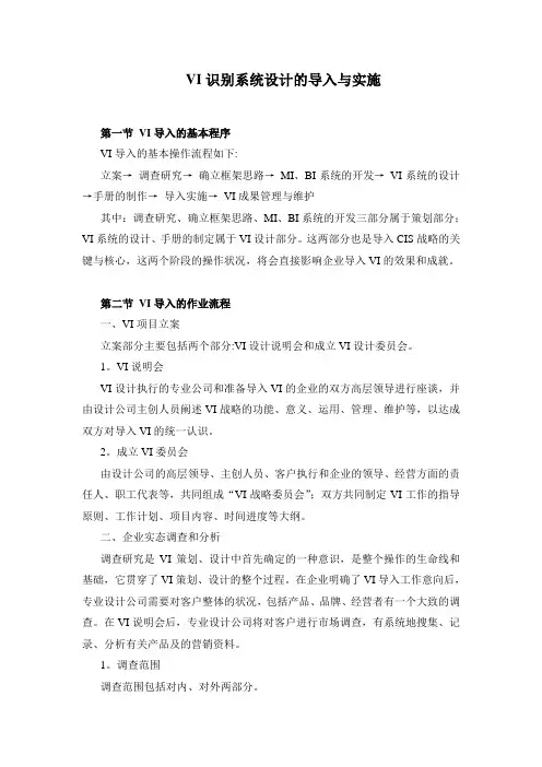 VI的导入与实施