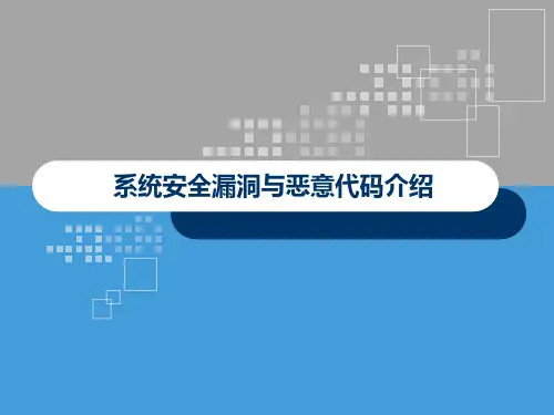 系统安全漏洞与恶意代码介绍