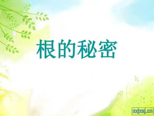 红星幼儿园大班科学领域《根的秘密》PPT课件