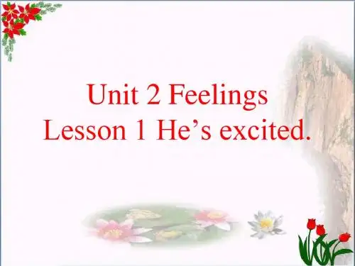 五年级英语上册 Unit 2 Lesson 1 He’s excited课件 鲁科版