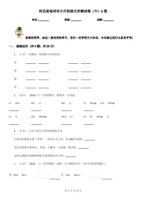 河北省沧州市小升初语文冲刺试卷(六)A卷