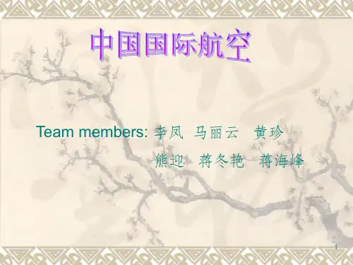 国航市场营销案例分析
