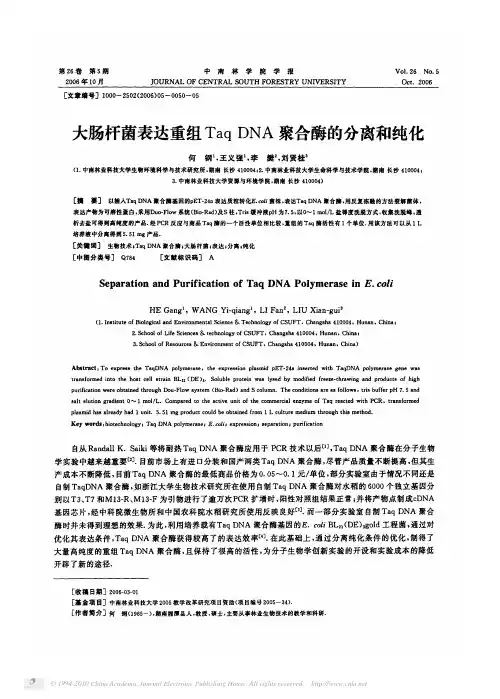 大肠杆菌表达重组TaqDNA聚合酶的分离和纯化
