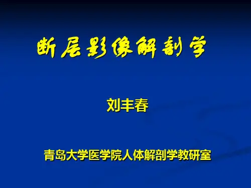 CT解剖学简介