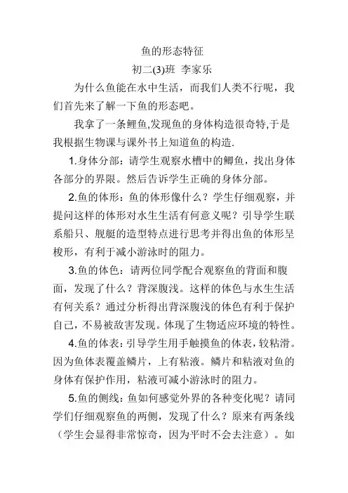 鱼的形态特征