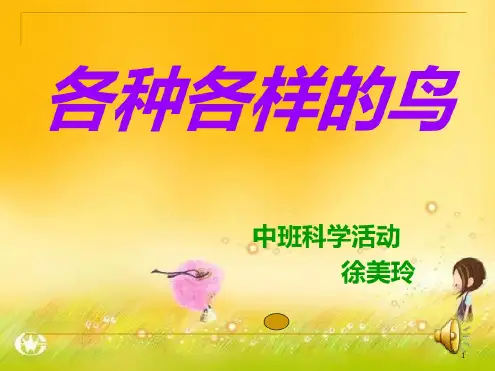 中班科学活动:各种各样的鸟课件