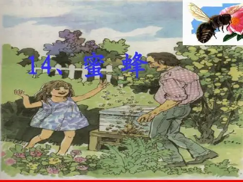 人教版三年级语文上册14《蜜蜂》PPT课件