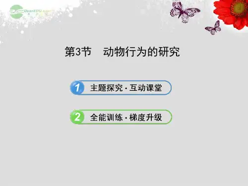 动物的行为