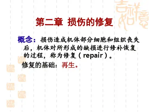 病理学-损伤的修复