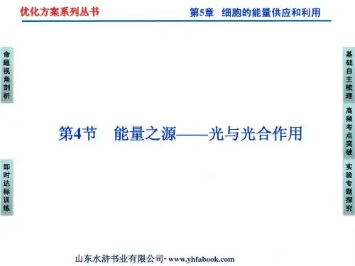 2012优化方案高三生物一轮复习课件：必修1第5章第4节