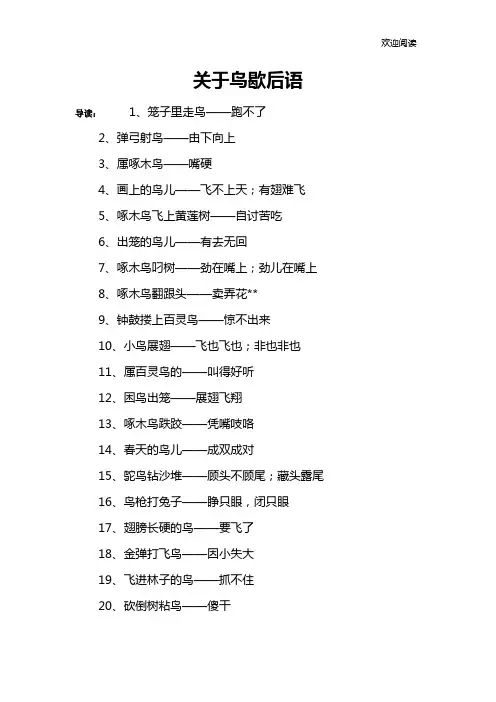 关于鸟歇后语