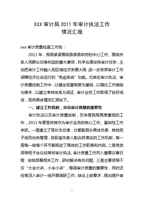XXX审计局审计执法工作情况汇报