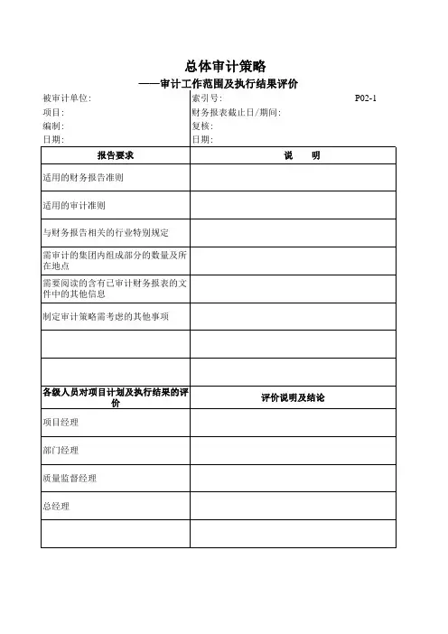 (P02-1)301-1总体策略-审计工作范围