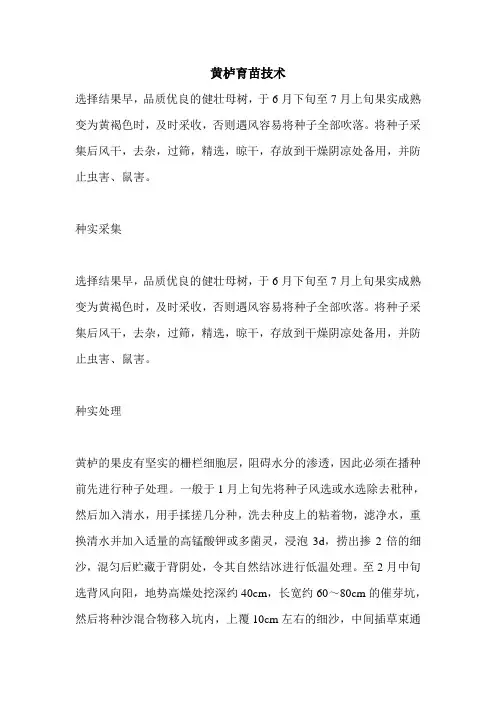 黄栌育苗技术
