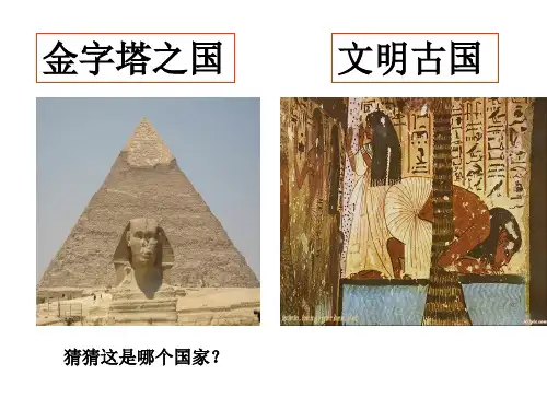 区域地理复习—埃及资料讲解