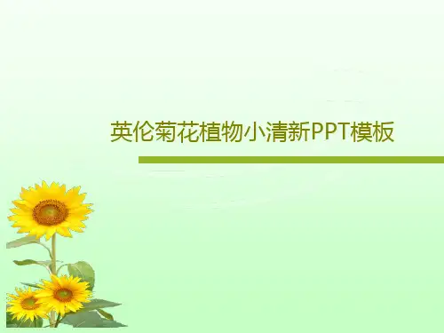 英伦菊花植物小清新PPT模板共18页文档