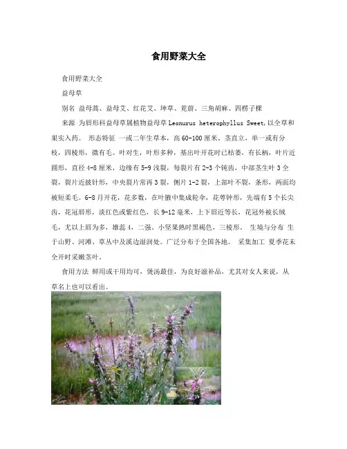 食用野菜大全