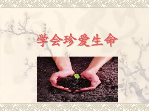 学会珍爱生命