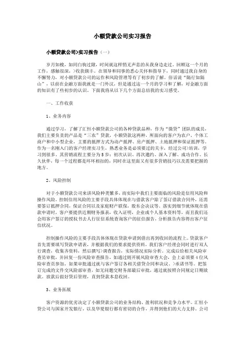 小额贷款公司实习报告