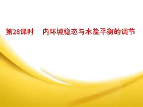 内环境稳态 4