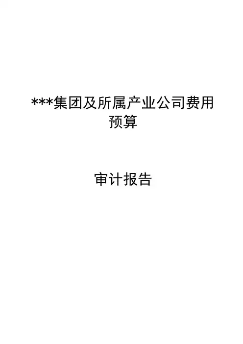 集团公司费用预算审计报告