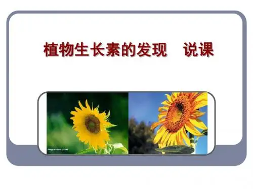 植物生长素的发现(说课)