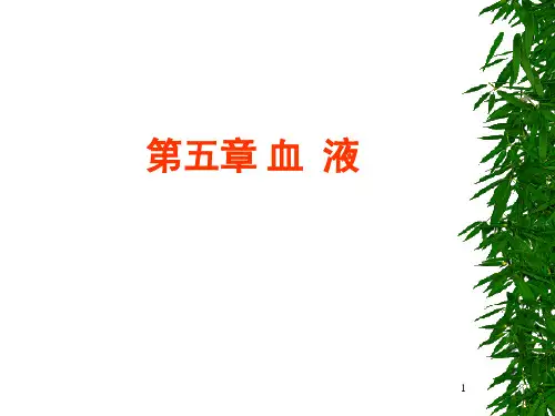 血细胞发生PPT课件