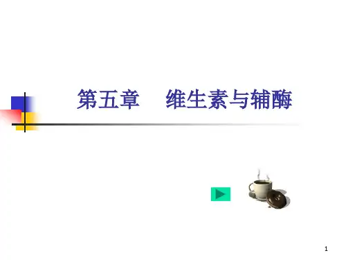 第五章  维生素与辅酶