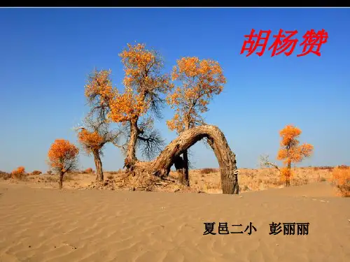 23胡杨赞