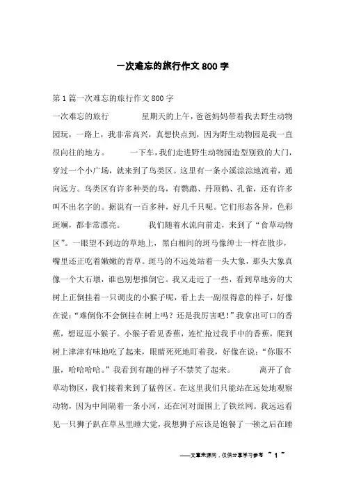 一次难忘的旅行作文800字